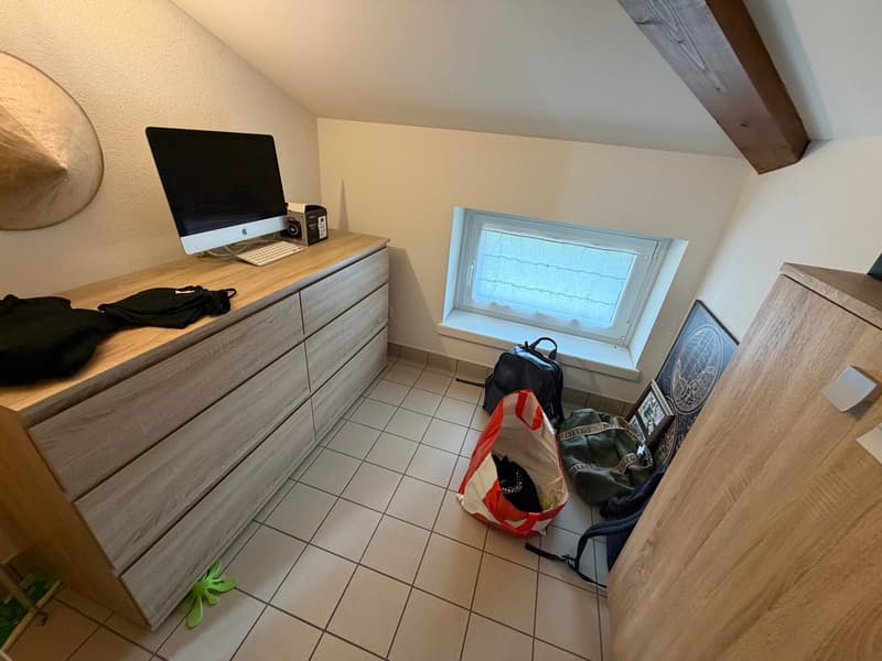 Moderna casa a schiera 4.5 con giardino a Genestrerio (15)