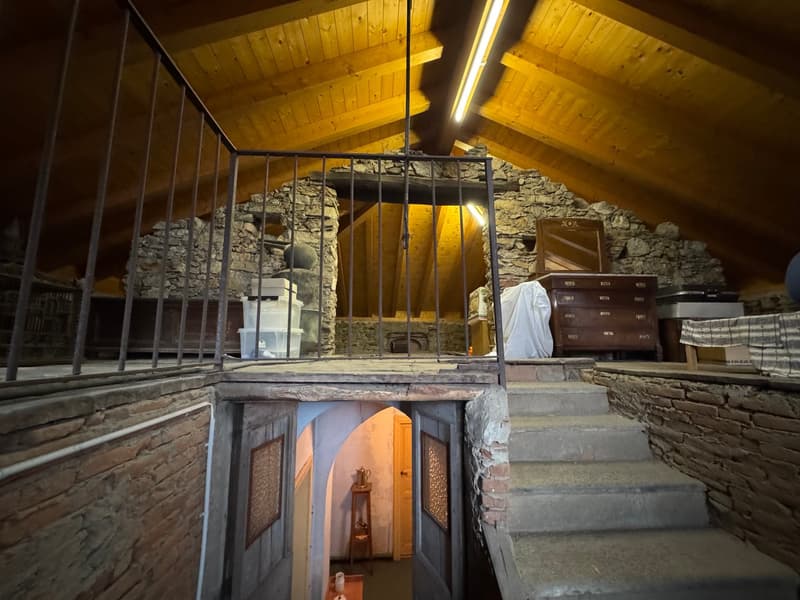 Vivere in una villa d'epoca a Cadro (13)