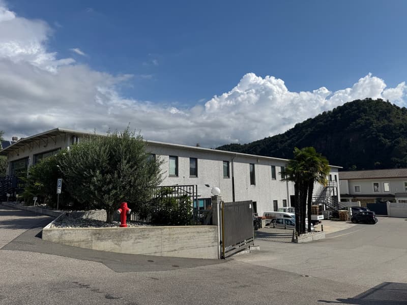 Immobile commerciale artigianale a reddito con abitazione a Bedano (4)