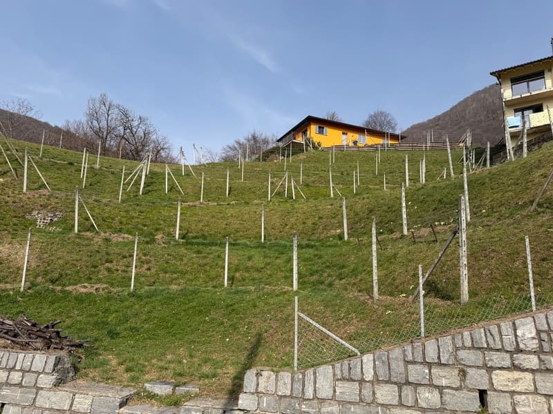 Terreno edificabile con vista panoramica a Medeglia (1)