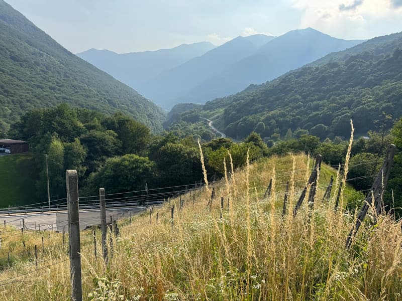 Terreno edificabile con vista panoramica a Medeglia (3)