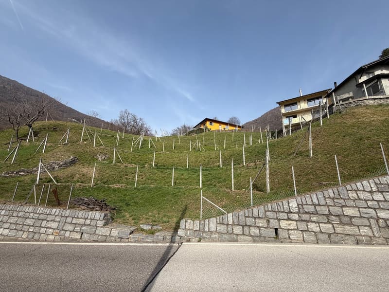 Terreno edificabile con vista panoramica a Medeglia (5)