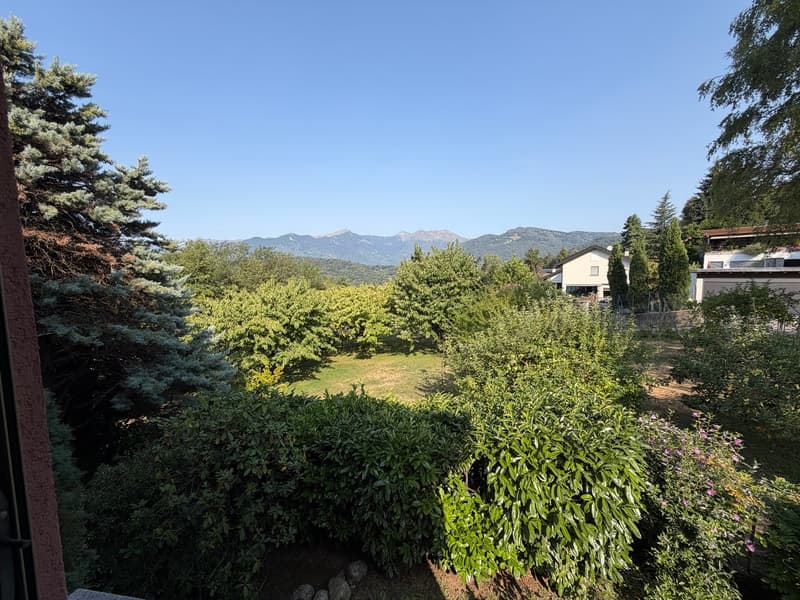 Grande villa signorile anni 70 di 7.5 locali con piscina a Lugano Cadro (16)