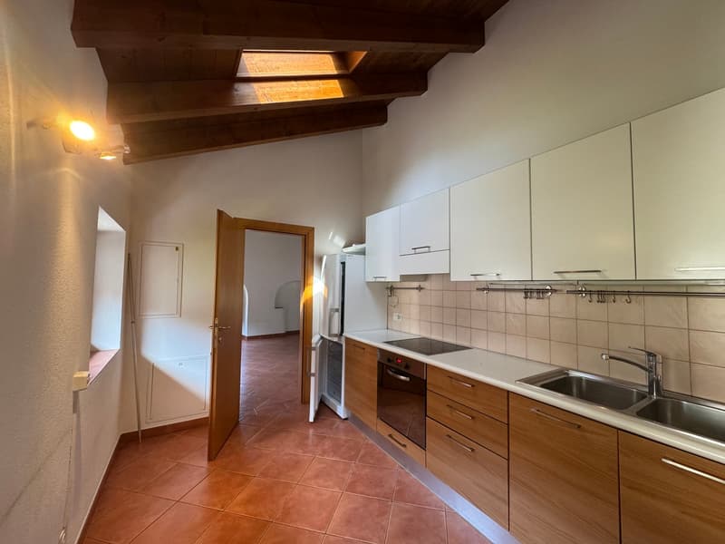 Grande appartamento duplex di 4.5 locali in casa storica a Barbengo (3)