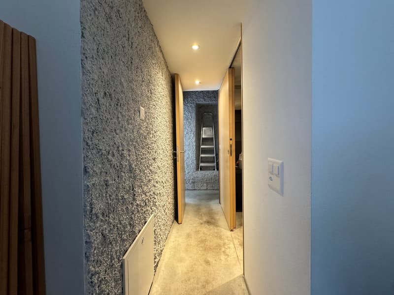 Esclusivo appartamento 5.5 in edificio storico a Lugano Carona (8)