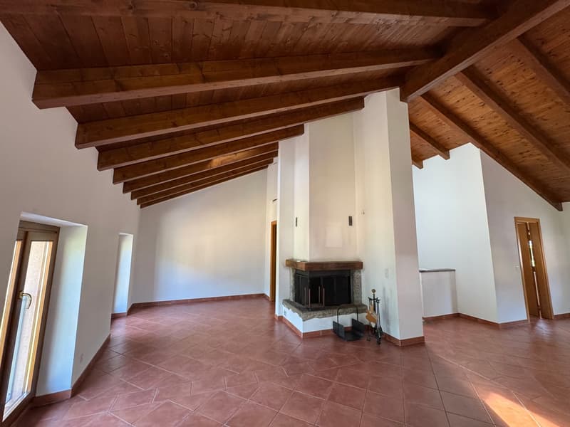 Grande appartamento duplex di 4.5 locali in casa storica a Barbengo (1)