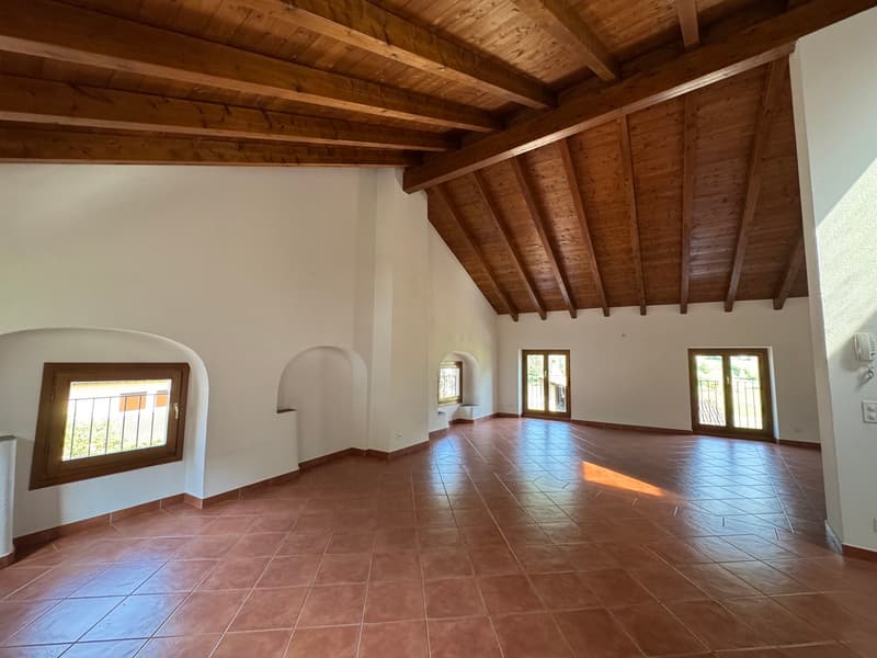 Grande appartamento duplex di 4.5 locali in casa storica a Barbengo (2)