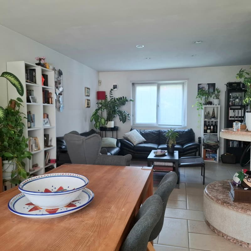 Casa monofamiliare 5.5 locali a Mendrisio Rancate (6)