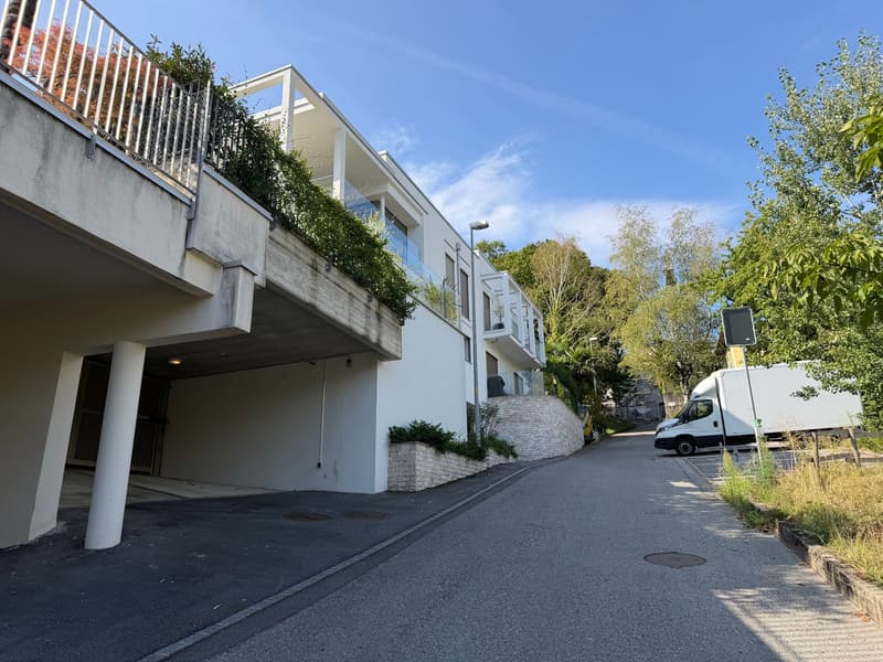 Moderno appartamento 2.5 loc. con giardino e piscina a Breganzona (11)