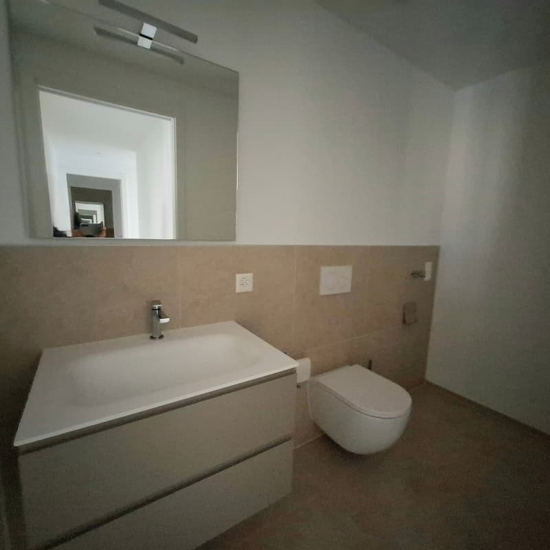 Moderno appartamento 4.5 locali  a Cadro con ampia terrazza (9)