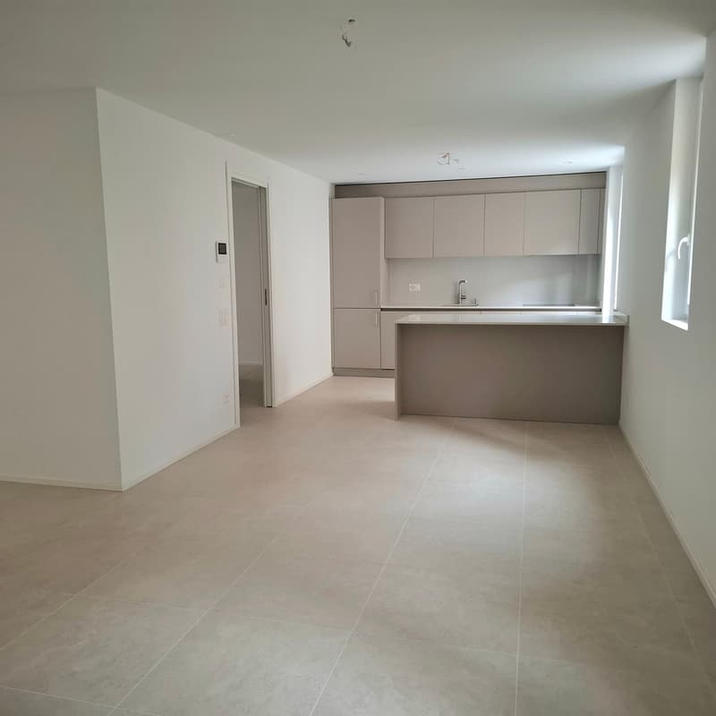 Moderno appartamento 4.5 locali  a Cadro con ampia terrazza (2)