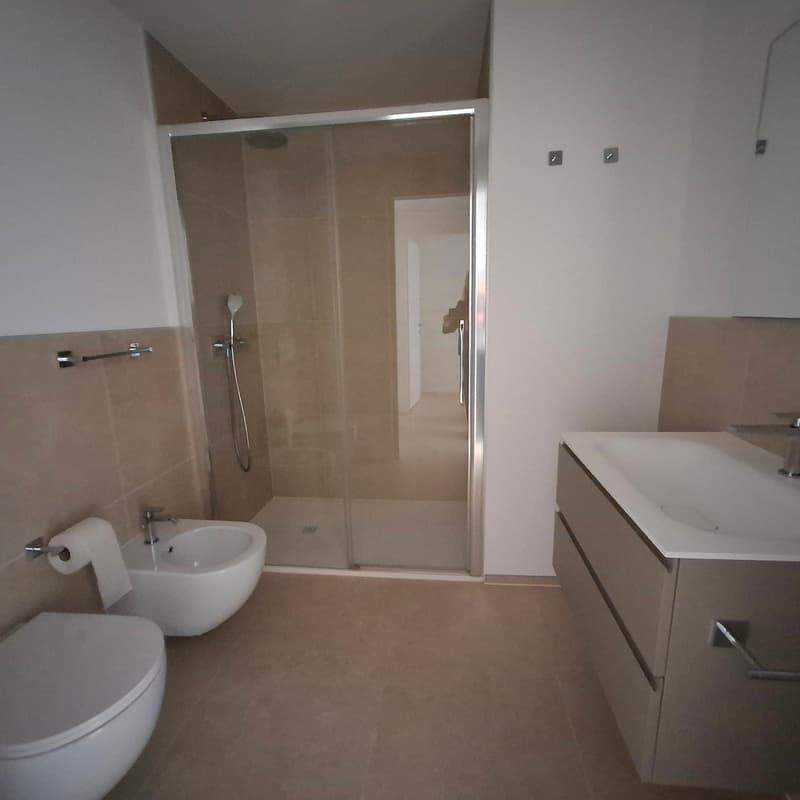 Moderno appartamento 4.5 locali  a Cadro con ampia terrazza (10)