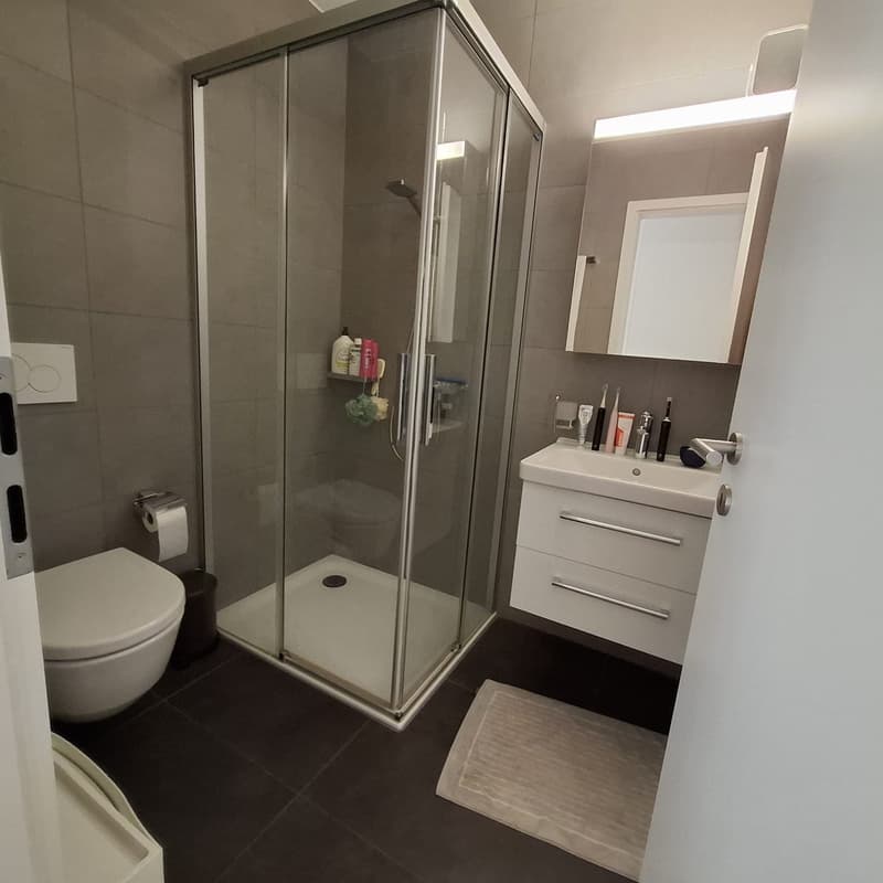 Elegante appartamento di 3.5 locali a Lugano Figino (7)