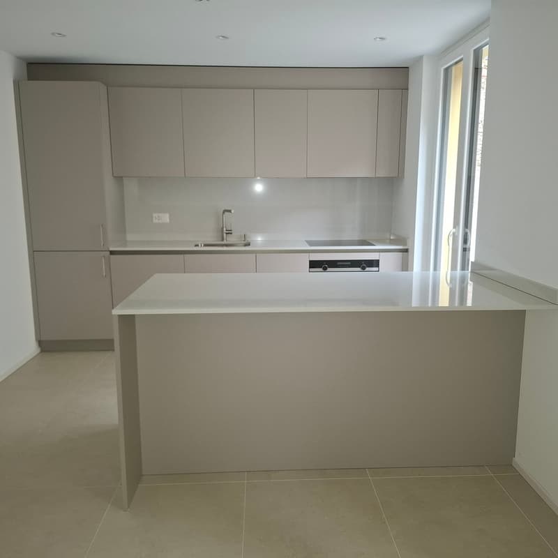 Moderno appartamento 4.5 locali a Cadro con ampia terrazza (2)