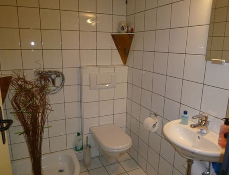 Parterregeschoss / WC/Dusche