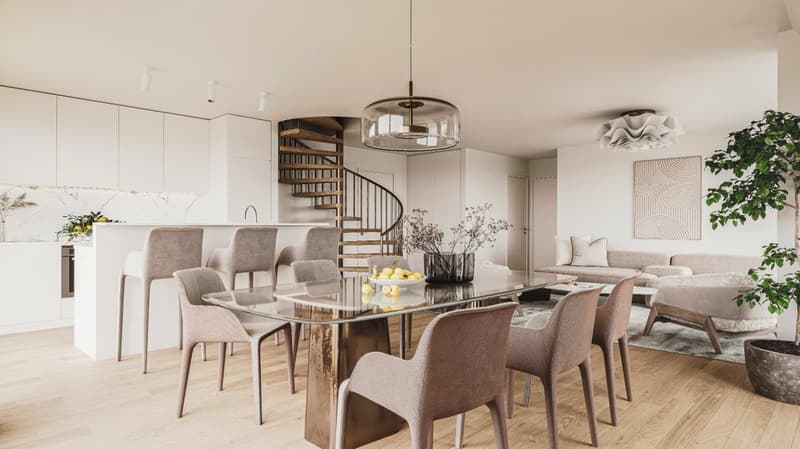 Appartement neuf en duplex à Founex (3)