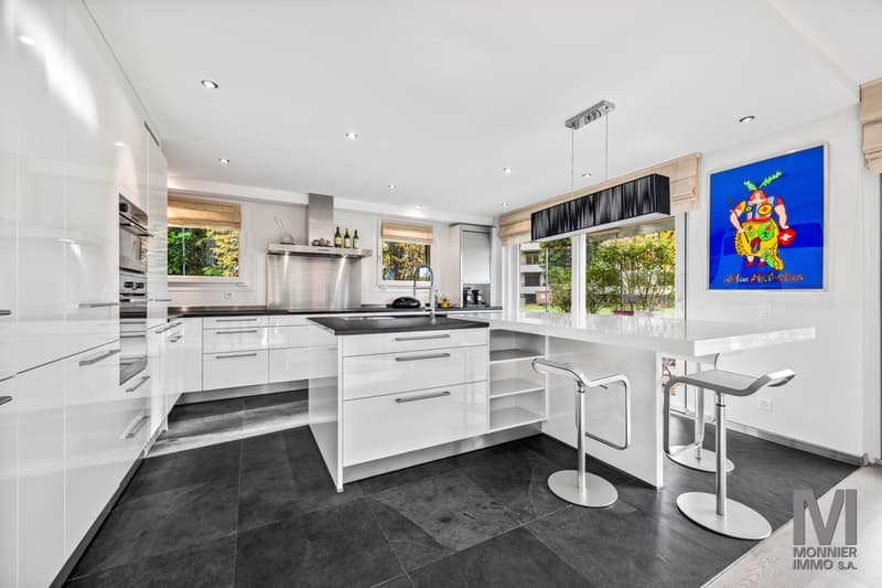 Magnifique duplex de 7.5 pièces avec terrasse et jardin privatif à Pully (1)