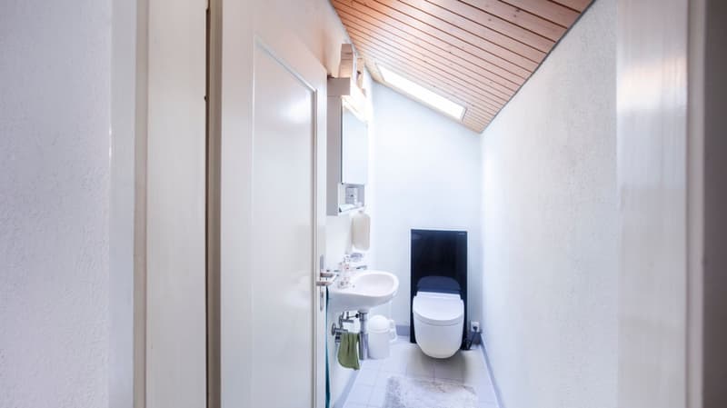 Bathroom with toilet, sink, and a small rug