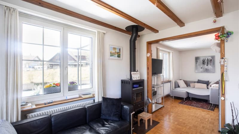 black leather couch, fireplace, large window, radiator, rug, TV, shelves