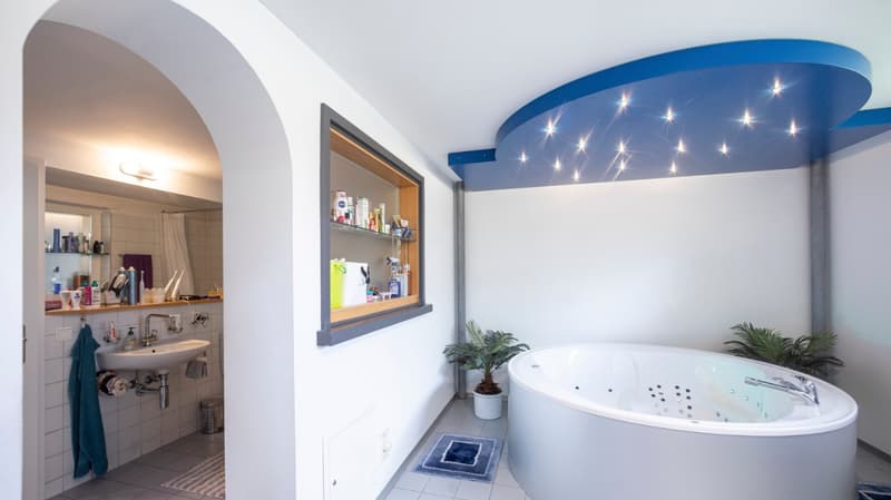 white bathtub, blue ceiling, white sink, white tiles, blue rug, potted plants
