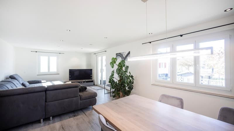 modern living room with gray sofa, wooden table, large windows, TV, plant