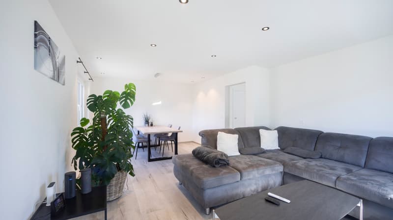 modern living room with gray sofa, wooden floor, dining table, and large plant