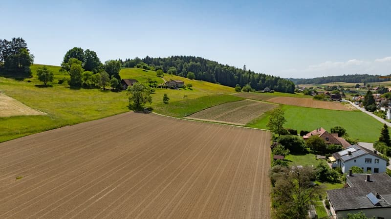 Wohnen am Dorfrand: 5.5 Zimmer Einfamilienhaus direkt an der Landwirtschaftszone (8)