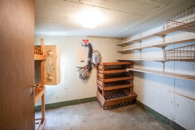 Wohnen am Dorfrand: 5.5 Zimmer Einfamilienhaus direkt an der Landwirtschaftszone (21)