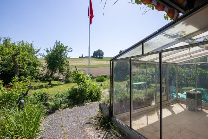 Wohnen am Dorfrand: 5.5 Zimmer Einfamilienhaus direkt an der Landwirtschaftszone (5)