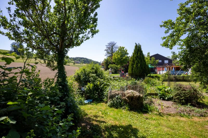 Wohnen am Dorfrand: 5.5 Zimmer Einfamilienhaus direkt an der Landwirtschaftszone (6)