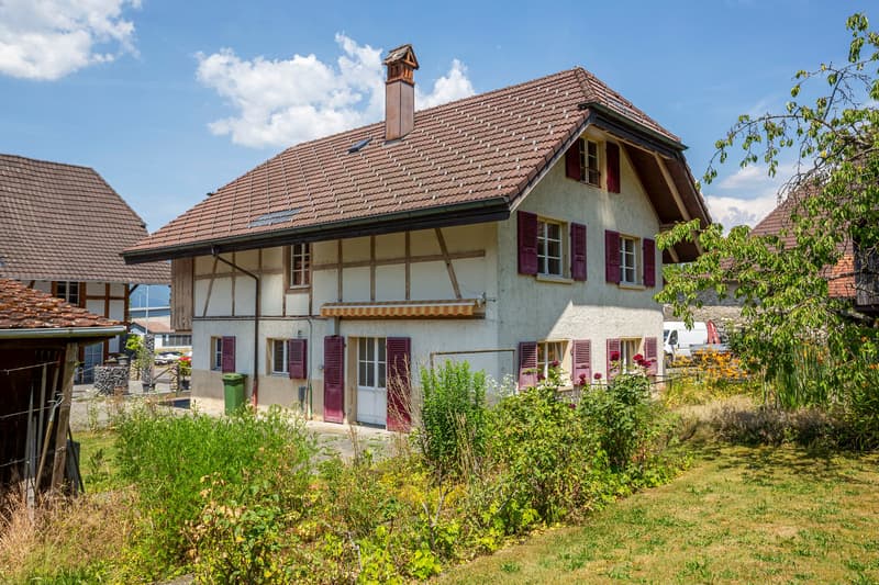 Stöckli mit 2 Wohnungen und grossem Garten (2)
