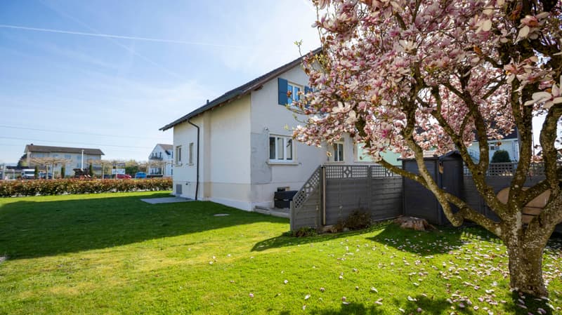 Charmantes Einfamilienhaus mit grossem Garten in Subingen (4)