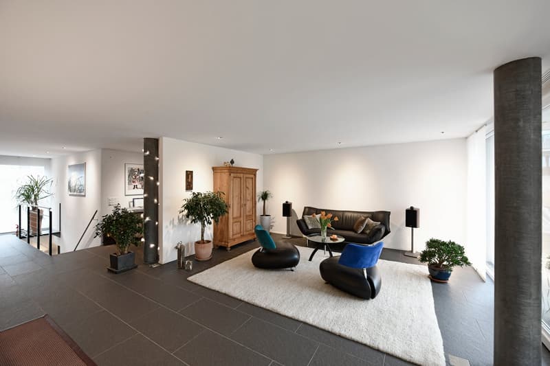grosszügige 4.5- bis 5.5-Zimmer-Wohnung mit einem grossen Gartenbereich (9)