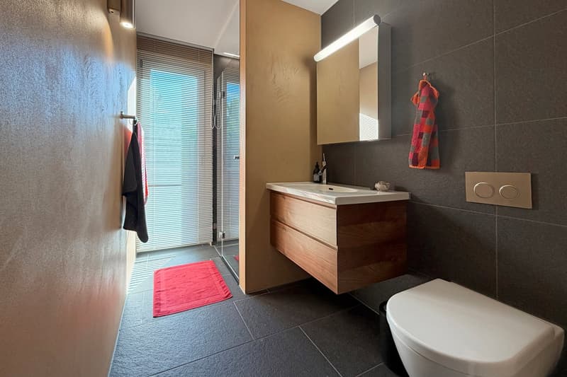 grosszügige 4.5- bis 5.5-Zimmer-Wohnung mit einem grossen Gartenbereich (15)