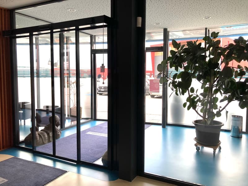 Automatic sliding glass doors, blue carpet, potted plant, trash bin, wooden wall, glass walls, reflection of cars and buildings