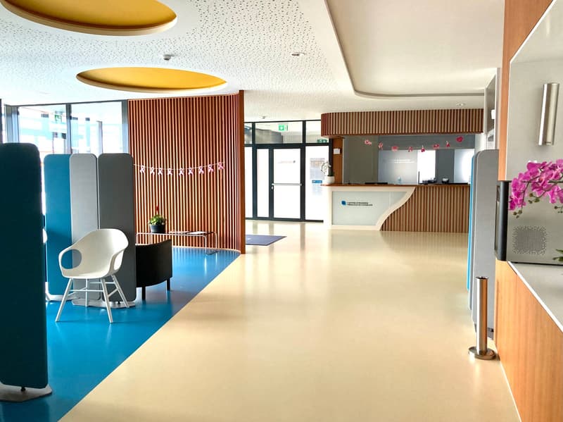 modern office space, blue and white flooring, white walls, wooden partitions, white chairs, potted plants, reception desk, decorative flowers