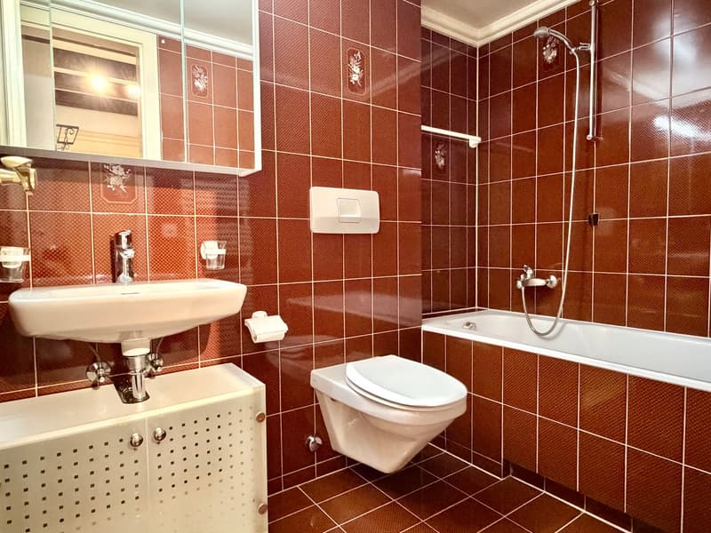 Magnifique duplex spacieux avec mezzanine et loft (7)