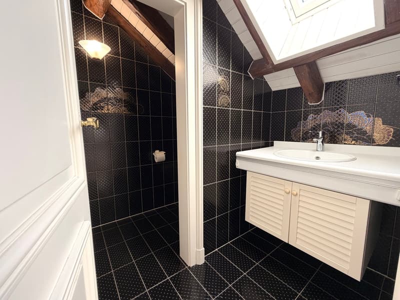 Duplex spacieux avec mezzanine et loft (6)