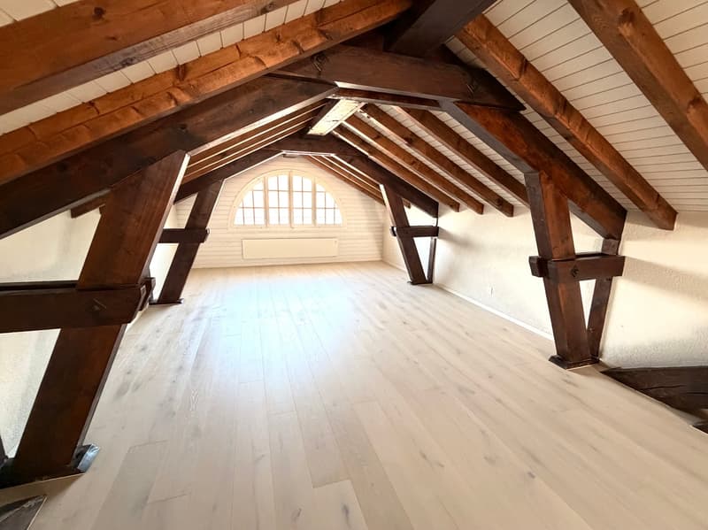 Duplex spacieux avec mezzanine et loft (4)