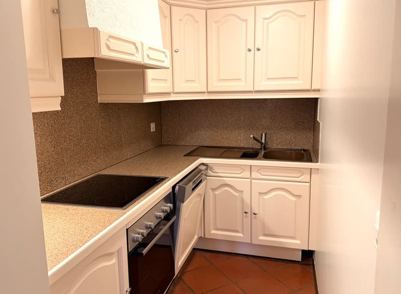 Duplex spacieux avec mezzanine et loft (2)