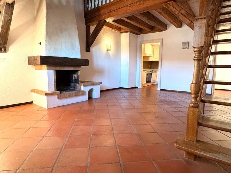 Duplex spacieux avec mezzanine et loft (3)