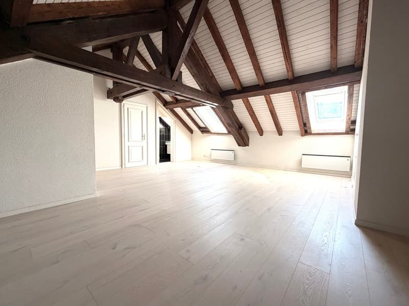 Duplex spacieux avec mezzanine et loft (5)