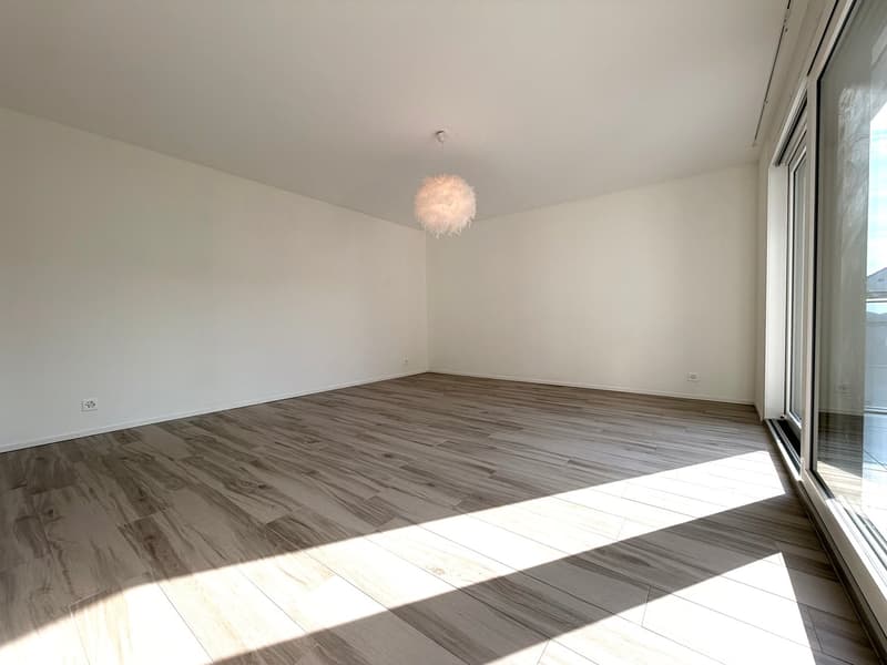 Spacieux et lumineux avec grande terrasse (6)