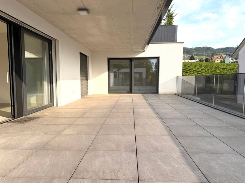 Spacieux et lumineux avec grande terrasse (1)