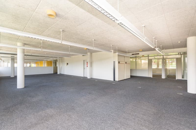 Bureaux climatisés - avec planchers surélevés - pour les entreprises IT et Medtech (15)