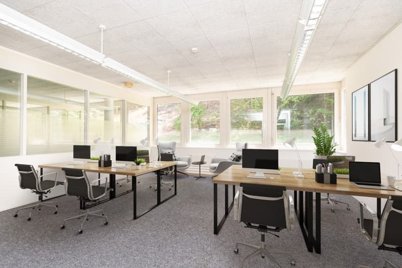 Bureaux climatisés - avec planchers surélevés - pour les entreprises IT et Medtech (5)