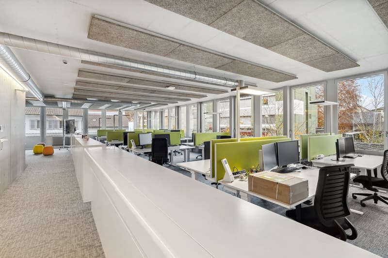 Büro- und Praxisflächen mit 30 Parkplätzen (9)