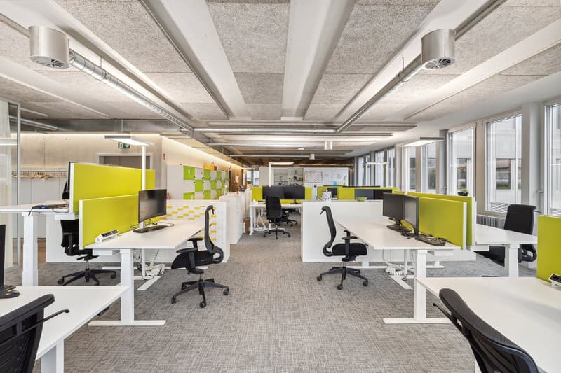 Büro- und Praxisflächen mit 30 Parkplätzen (7)