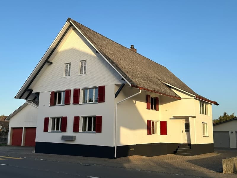 Renovierte 4.5 Zimmerwohnung im Erdgeschoss mit grosser Küche und Badezimmer (17)