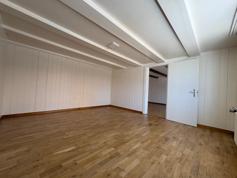 Renovierte 4.5 Zimmerwohnung im Erdgeschoss mit grosser Küche und Badezimmer (7)